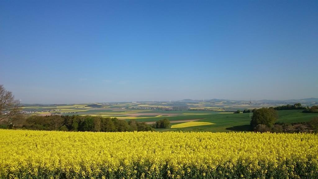 Ferienwohnung Maifeld Wierschem Εξωτερικό φωτογραφία